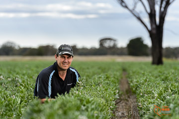 VITERRA 2013 / VITERRA_GLENVALE_FARMS_267_140909