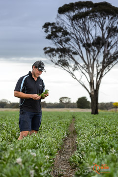 VITERRA 2013 / VITERRA_GLENVALE_FARMS_271_140909
