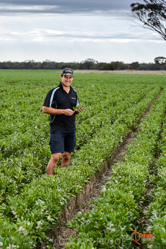 VITERRA 2013 / VITERRA_GLENVALE_FARMS_272_140909