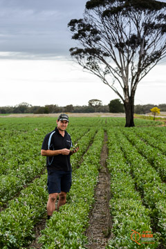 VITERRA 2013 / VITERRA_GLENVALE_FARMS_274_140909