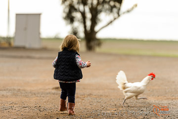 VITERRA 2013 / VITERRA_GLENVALE_FARMS_279_140909