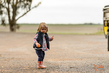 VITERRA 2013 / VITERRA_GLENVALE_FARMS_281_140909