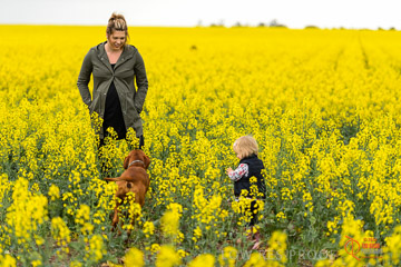 VITERRA 2013 / VITERRA_GLENVALE_FARMS_287_140909