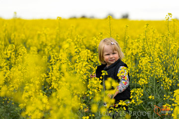 VITERRA 2013 / VITERRA_GLENVALE_FARMS_289_140909
