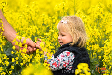 VITERRA 2013 / VITERRA_GLENVALE_FARMS_292_140909