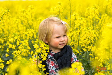 VITERRA 2013 / VITERRA_GLENVALE_FARMS_293_140909