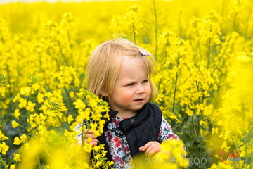 VITERRA 2013 / VITERRA_GLENVALE_FARMS_294_140909