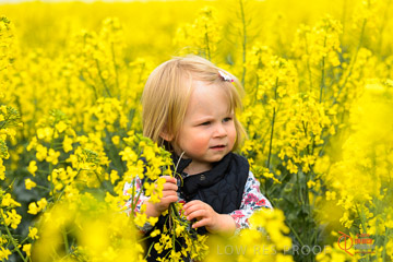 VITERRA 2013 / VITERRA_GLENVALE_FARMS_295_140909
