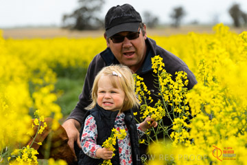 VITERRA 2013 / VITERRA_GLENVALE_FARMS_310_140909