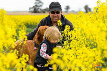 VITERRA 2013 / VITERRA_GLENVALE_FARMS_311_140909