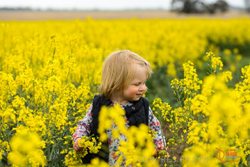 VITERRA 2013 / VITERRA_GLENVALE_FARMS_318_140909