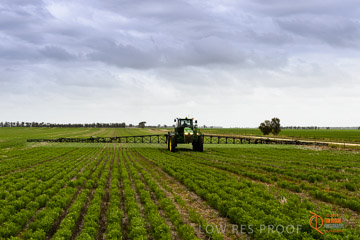 VITERRA 2013 / VITERRA_GLENVALE_FARMS_359_140909