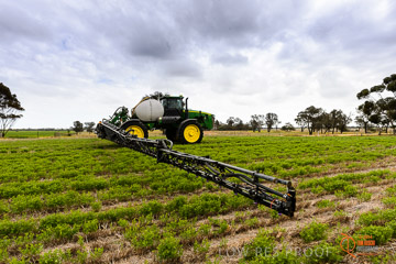 VITERRA 2013 / VITERRA_GLENVALE_FARMS_361_140909