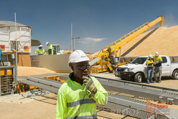 VITERRA 2013 / BOWMANS_206_141121