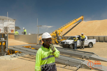 VITERRA 2013 / BOWMANS_207_141121