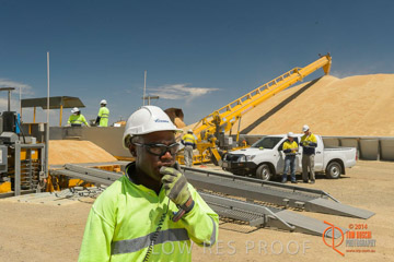 VITERRA 2013 / BOWMANS_215_141121