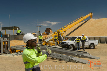 VITERRA 2013 / BOWMANS_221_141121