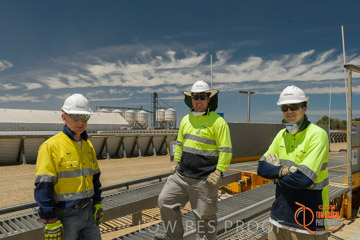 VITERRA 2013 / BOWMANS_225_141121