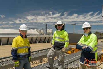 VITERRA 2013 / BOWMANS_226_141121