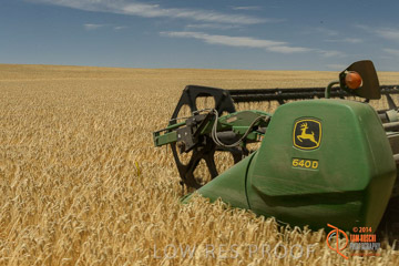 VITERRA 2013 / HARVESTING_DANIELS_040_141121