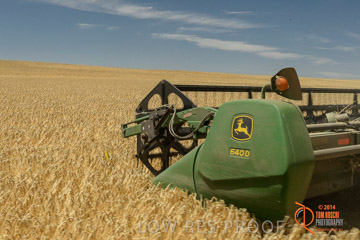 VITERRA 2013 / HARVESTING_DANIELS_041_141121