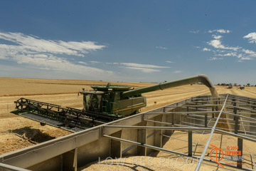 VITERRA 2013 / HARVESTING_DANIELS_046_141121