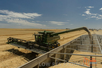 VITERRA 2013 / HARVESTING_DANIELS_048_141121