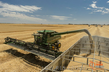 VITERRA 2013 / HARVESTING_DANIELS_050_141121