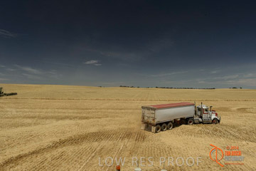 VITERRA 2013 / HARVESTING_DANIELS_054_141121