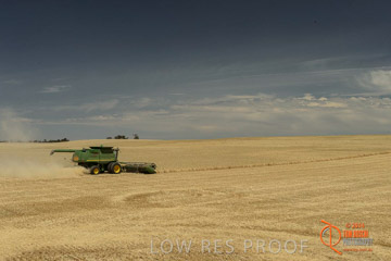 VITERRA 2013 / HARVESTING_DANIELS_055_141121