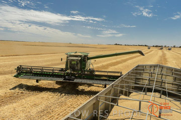 VITERRA 2013 / HARVESTING_DANIELS_062_141121