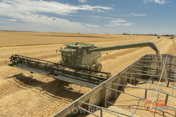 VITERRA 2013 / HARVESTING_DANIELS_063_141121