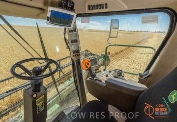 VITERRA 2013 / HARVESTING_DANIELS_067_141121