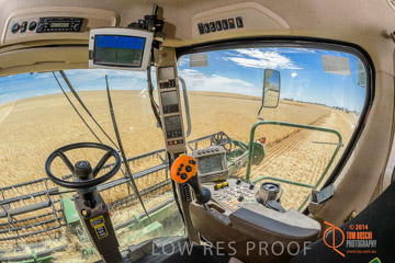 VITERRA 2013 / HARVESTING_DANIELS_071_141121