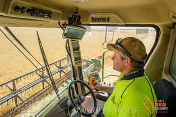 VITERRA 2013 / HARVESTING_DANIELS_073_141121