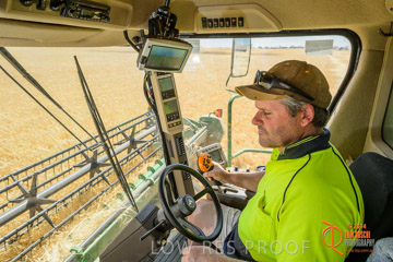 VITERRA 2013 / HARVESTING_DANIELS_078_141121