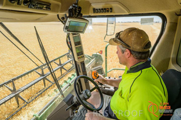VITERRA 2013 / HARVESTING_DANIELS_079_141121