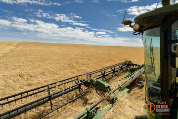 VITERRA 2013 / HARVESTING_DANIELS_082_141121