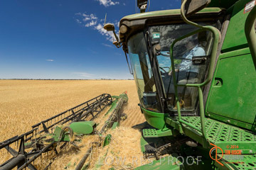 VITERRA 2013 / HARVESTING_DANIELS_094_141121