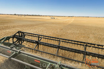 VITERRA 2013 / HARVESTING_DANIELS_097_141121