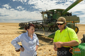 VITERRA 2013 / HARVESTING_DANIELS_103_141121