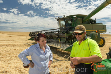 VITERRA 2013 / HARVESTING_DANIELS_104_141121