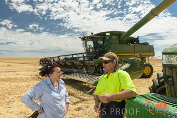 VITERRA 2013 / HARVESTING_DANIELS_110_141121