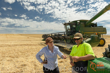 VITERRA 2013 / HARVESTING_DANIELS_116_141121