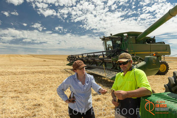 VITERRA 2013 / HARVESTING_DANIELS_117_141121