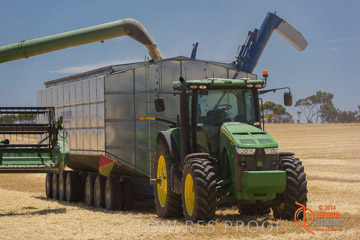 VITERRA 2013 / HARVESTING_DANIELS_125_141121