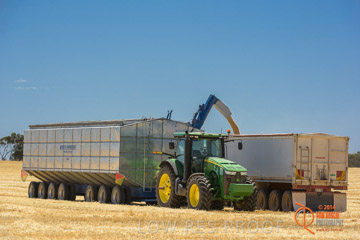 VITERRA 2013 / HARVESTING_DANIELS_157_141121