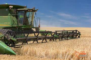 VITERRA 2013 / HARVESTING_DANIELS_179_141121
