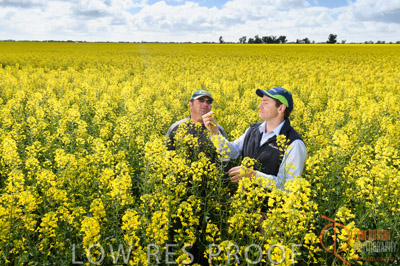 CALLAWADA_598_110920