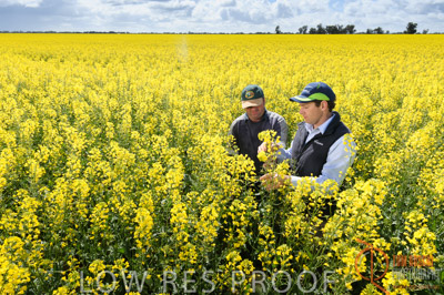 CALLAWADA_612_110920